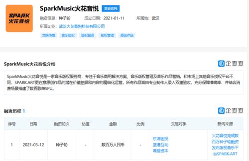 火花音悅獲數百萬種子輪融資，以數據處理服務為引擎，加速音樂版權市場布局